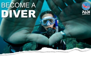 PADI Open Water Diver