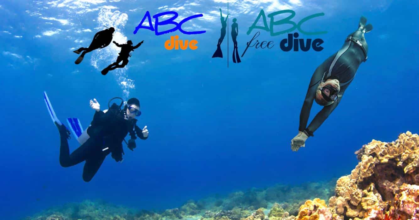 ABC Dive ABC free Dive